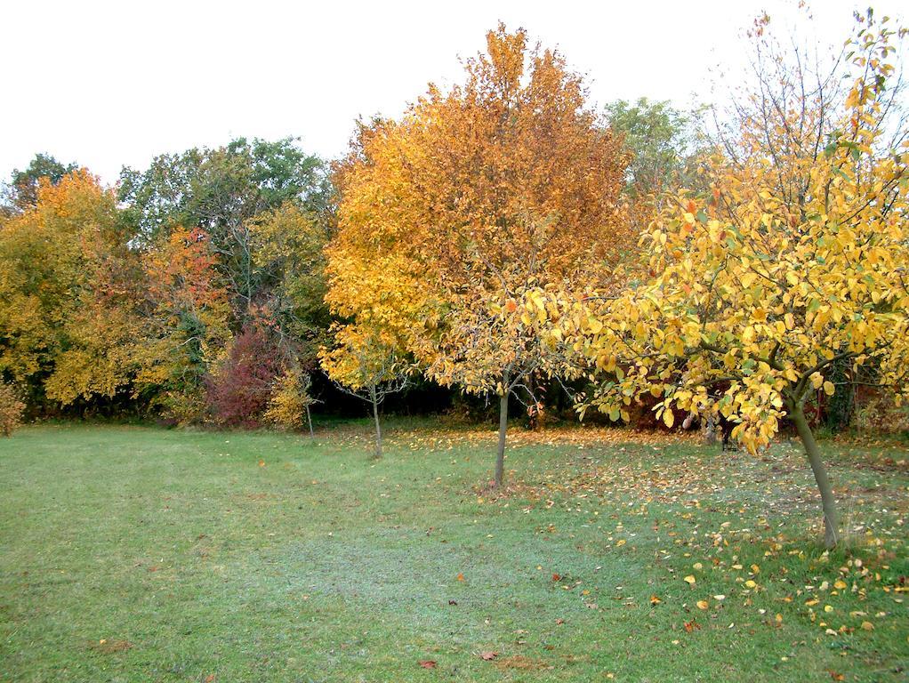 La Roseraie Neuville-du-Poitou Eksteriør billede